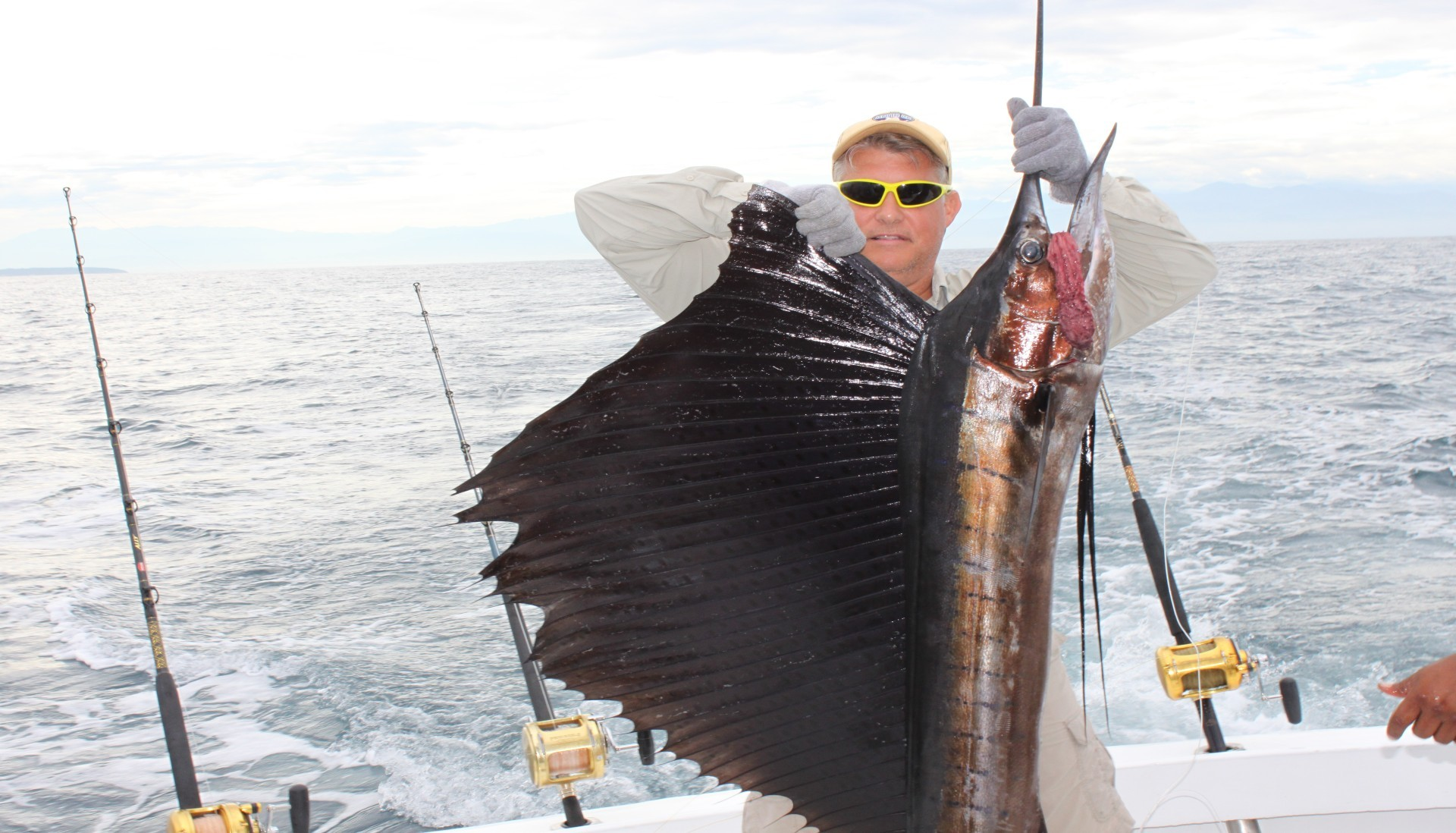 The Fish Showed Off in Puerto Vallarta